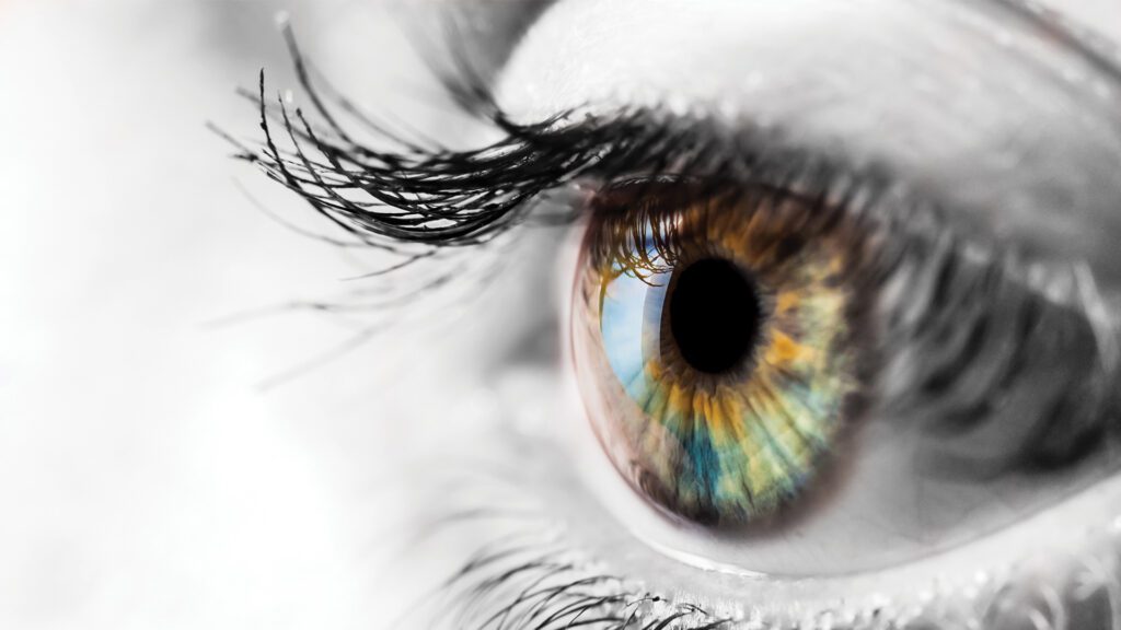 Beyond 20/20 Vision: What Happens During a Comprehensive Eye Exam?