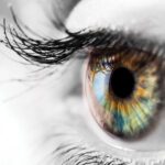 Beyond 20/20 Vision: What Happens During a Comprehensive Eye Exam?