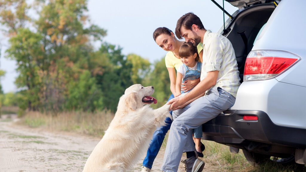 Summer Driving Smart: Practical Tips to Save Money, Stay Safe, and Extend Your Vehicle’s Life