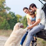 Summer Driving Smart: Practical Tips to Save Money, Stay Safe, and Extend Your Vehicle’s Life
