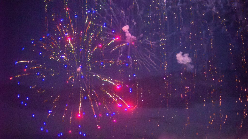 Paws and Pyrotechnics: Keeping Your Best Friend Safe This July