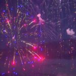 Paws and Pyrotechnics: Keeping Your Best Friend Safe This July