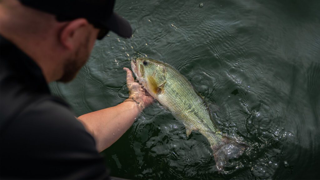 Ledges, Current, and Confidence: Summertime Fishing