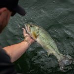Ledges, Current, and Confidence: Summertime Fishing