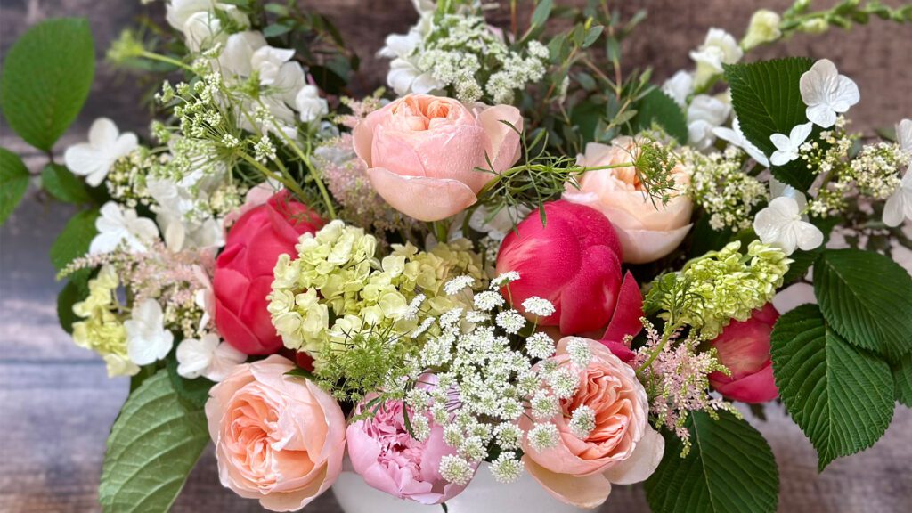 SG Botanicals has Just Passed its One Year Anniversary of Being Open!