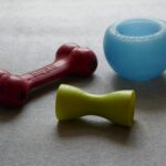 Is Your Dog (or Other Pet) Driving You Crazy? Stave Off Misbehavior With a Few Simple Tools
