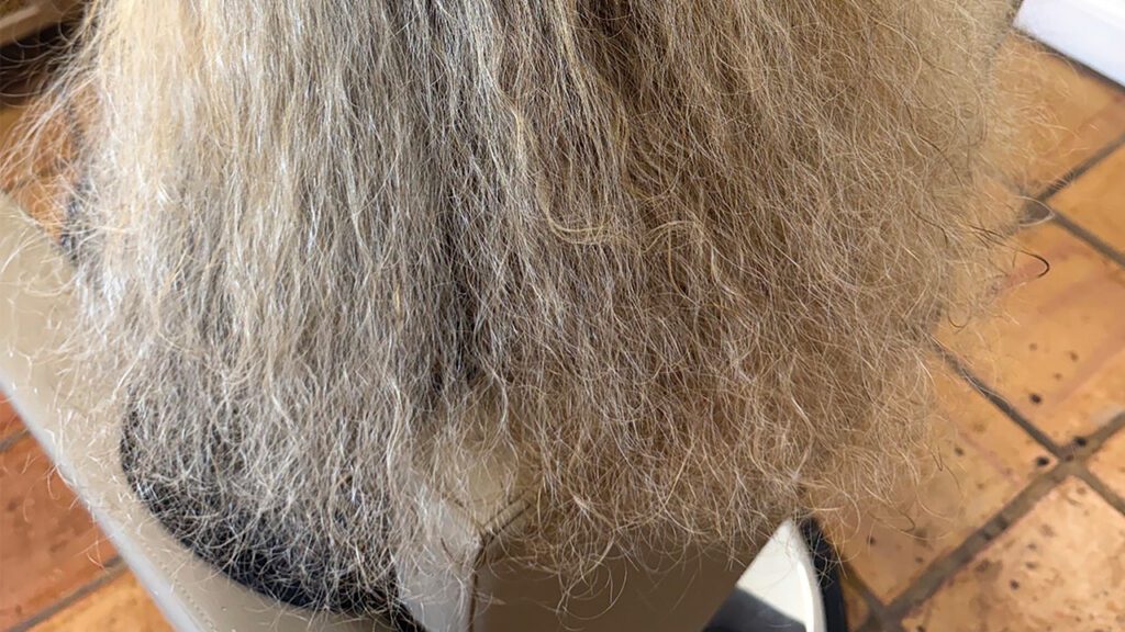 Humidity, Frizz and the Science of Stronger Hair in Florida