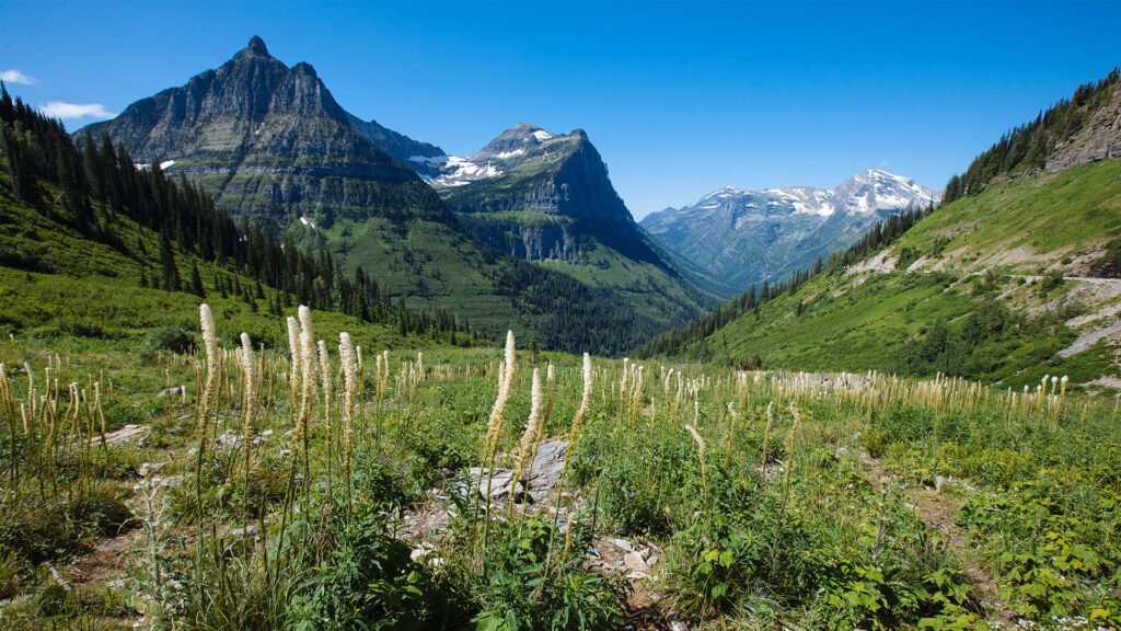 Why the Best Family Vacations Aren’t About the Destination