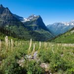 Why the Best Family Vacations Aren’t About the Destination