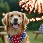Keeping Pets Safe During Fourth of July Fireworks