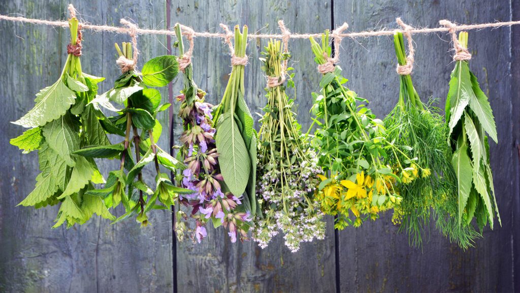 Fall Planting and Harvesting