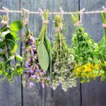 Fall Planting and Harvesting