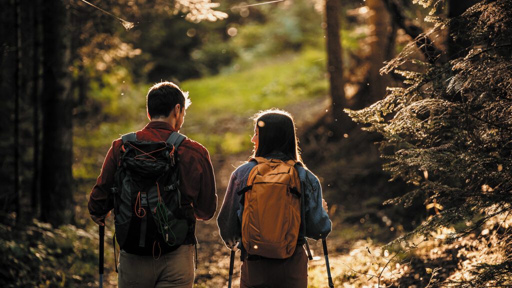 This Summer, Do Less: A Psychoneuroimmunology Perspective on Stress and Well-Being
