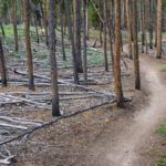 Attack One Fire Management Services: Your Land, Our Mission | A Monthly Update From the Field