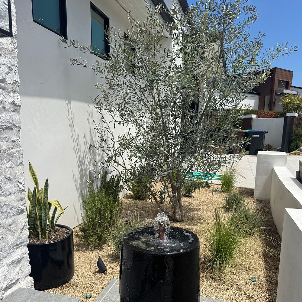 Home renovation project in San Clemente with Shoreline Construction and Organics Outback Inc Fountain