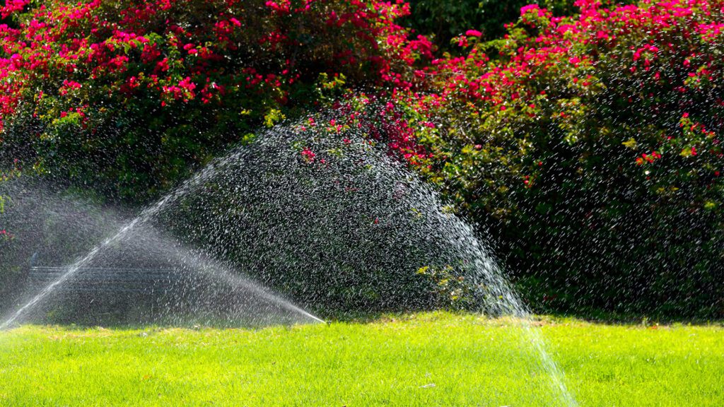 Smart Irrigation: Transforming Home Gardens for Efficiency and Healthier Plants