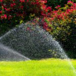 Smart Irrigation: Transforming Home Gardens for Efficiency and Healthier Plants