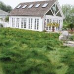 3 Water Conserving Landscaping Tips