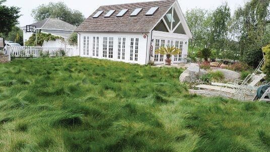 3 Water Conserving Landscaping Tips