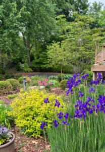 Springhouse Gardens Marge Leinbach Spring 2023