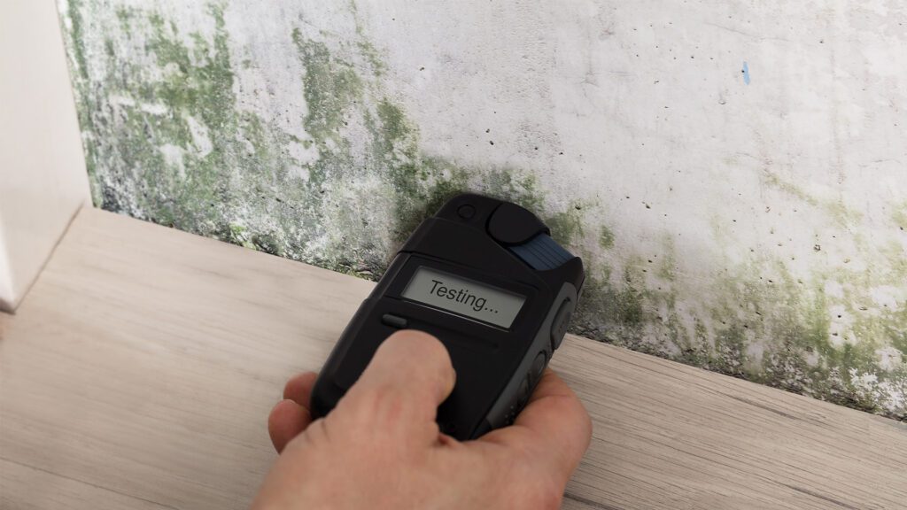 Environmental Illness: How Mold, Heavy Metals, and Lyme Disease Are Behind Many Chronic Illnesses
