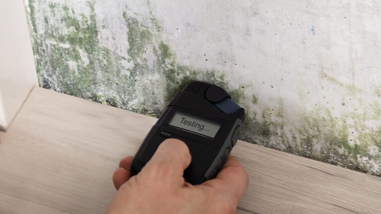 The Hidden Threat in Your Home: Fall Mold Prevention