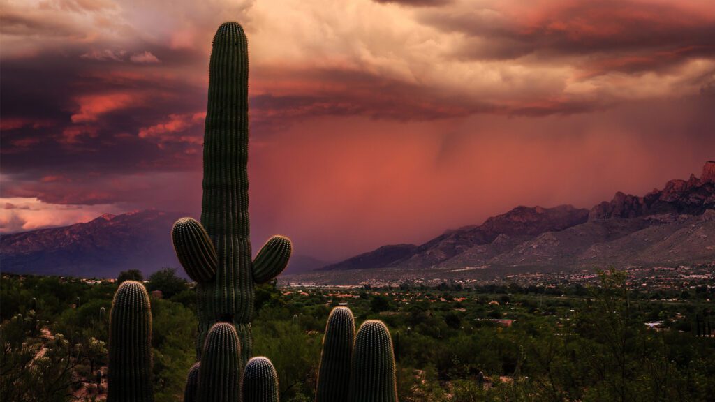 Monsoon Season and Insurance: What Southern Arizona Homeowners Should Know