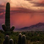 Monsoon Season and Insurance: What Southern Arizona Homeowners Should Know