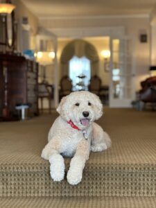 Morris-Dancy Funeral Home, LLC