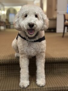Morris on stairs-Dancy Funeral Home, LLC