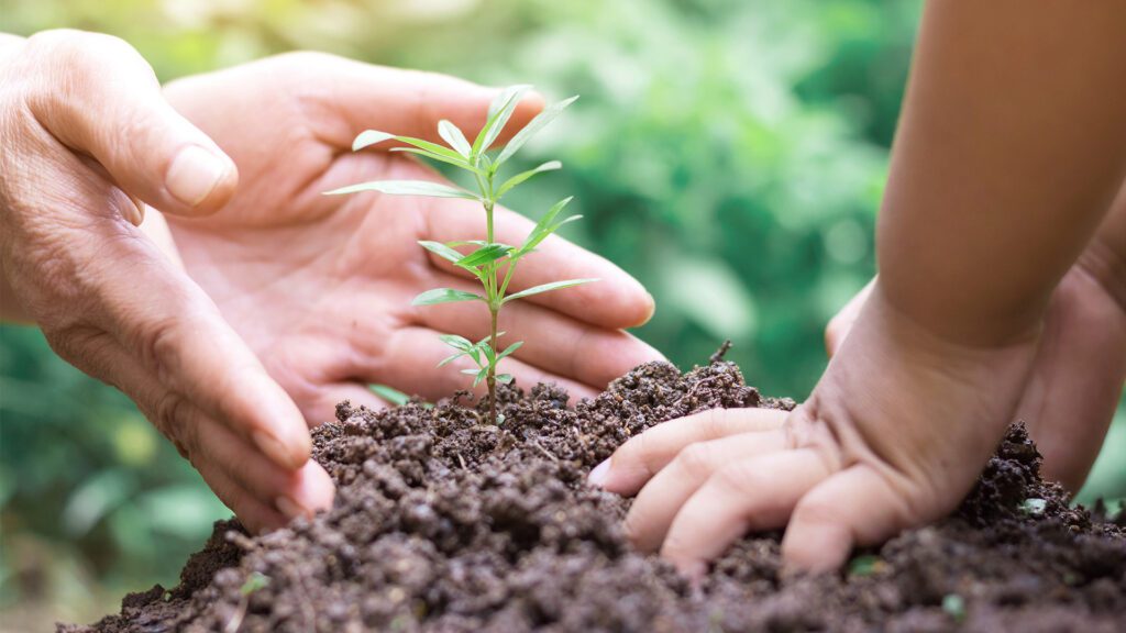 4 Estate Planning Mistakes People of Faith Should Avoid: Have You Thought About Your Estate Plan Recently?