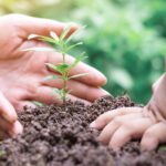 4 Estate Planning Mistakes People of Faith Should Avoid: Have You Thought About Your Estate Plan Recently?