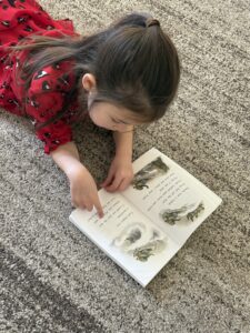 Reading-The Village School (Dykstra)