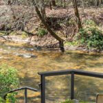 Summer in Habersham County: Where Mountain Living Meets an Exceptional Lifestyle