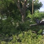 Pro Tip: Don’t Wait for a Hurricane Warning to Think About Your Trees