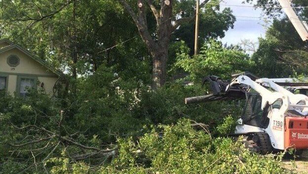 Pro Tip: Don’t Wait for a Hurricane Warning to Think About Your Trees