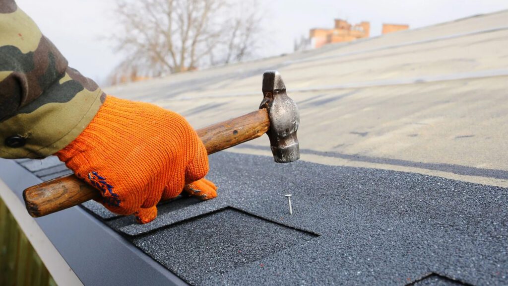 How a Residential Roofer Helps Improve Long-Term Roof Performance