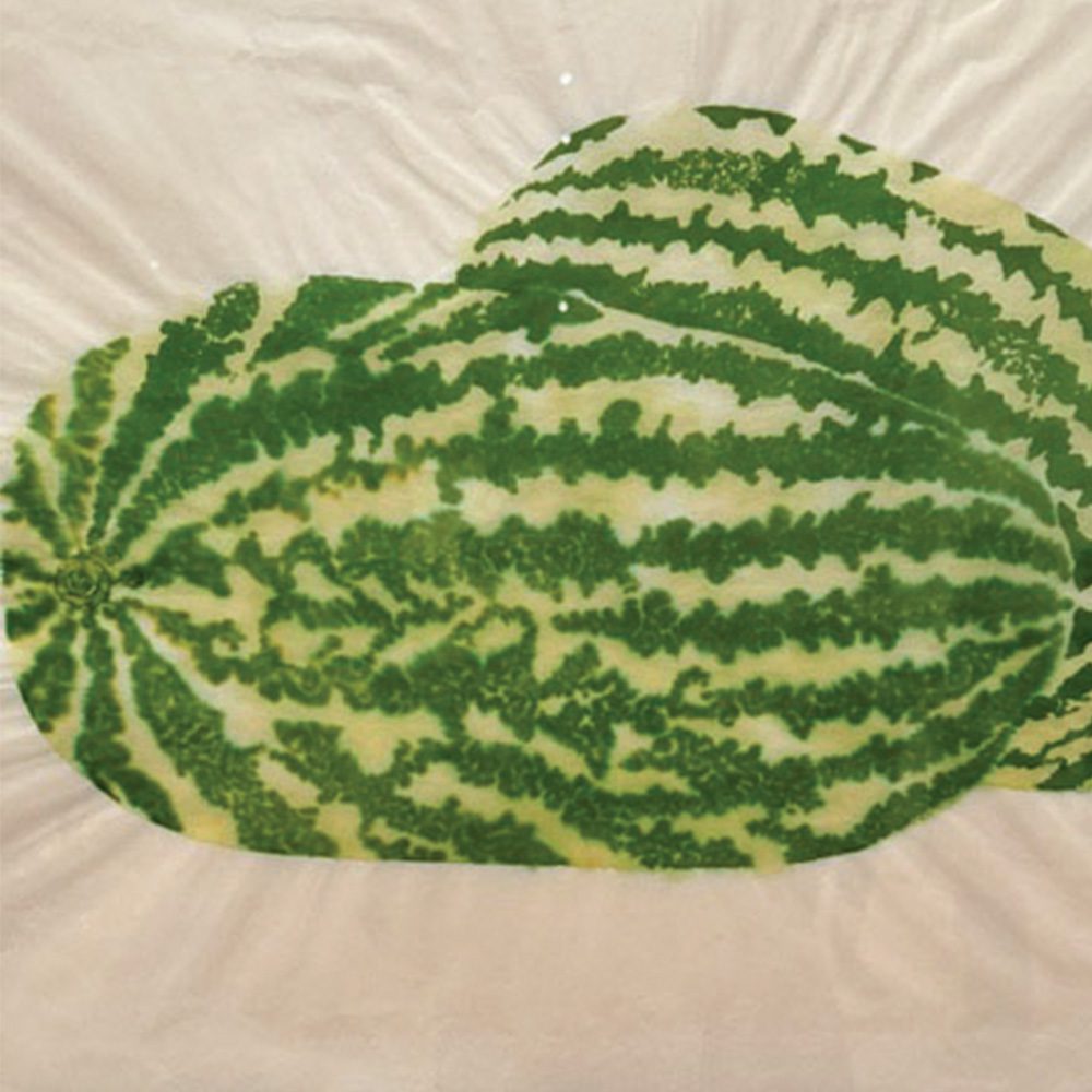 Ruth Asawa Art Gallery Valley Smiles Pediatric Dentistry 2