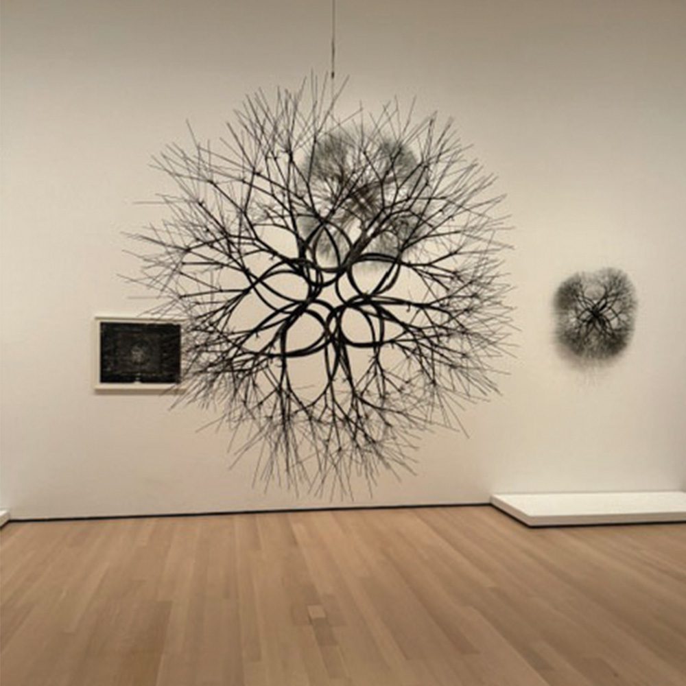 Ruth Asawa Art Gallery Valley Smiles Pediatric Dentistry 5
