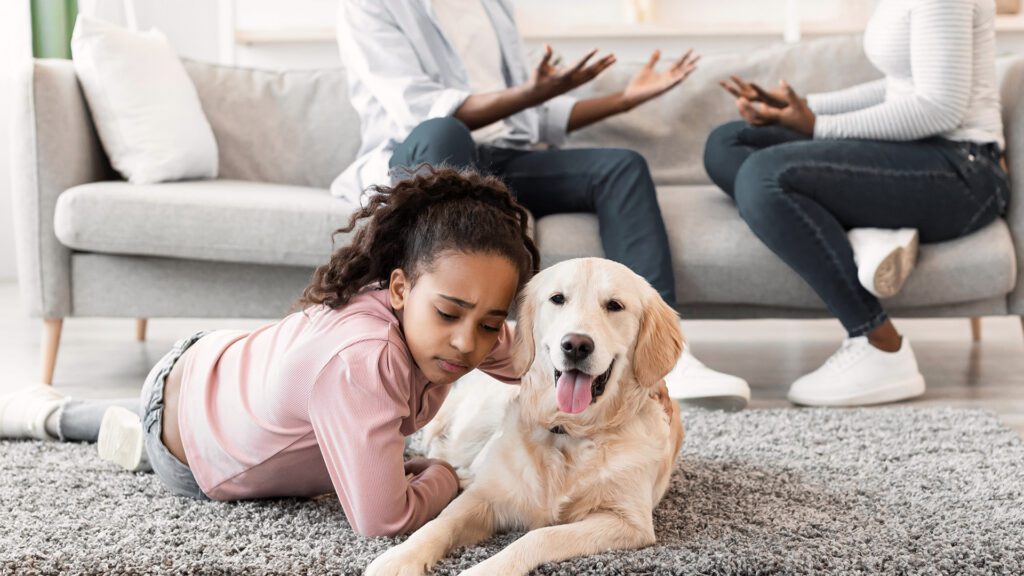 Who Gets the Family Pet in a Divorce?