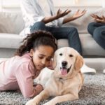 Who Gets the Family Pet in a Divorce?