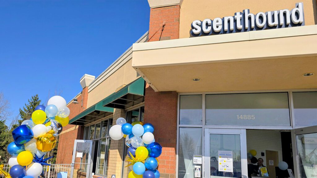 Scenthound Celebrates Anniversary With Gratitude to the Community