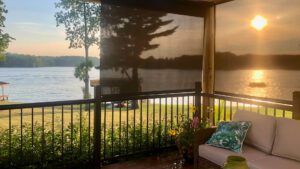 Shades-Exciting Windows By Susan Day