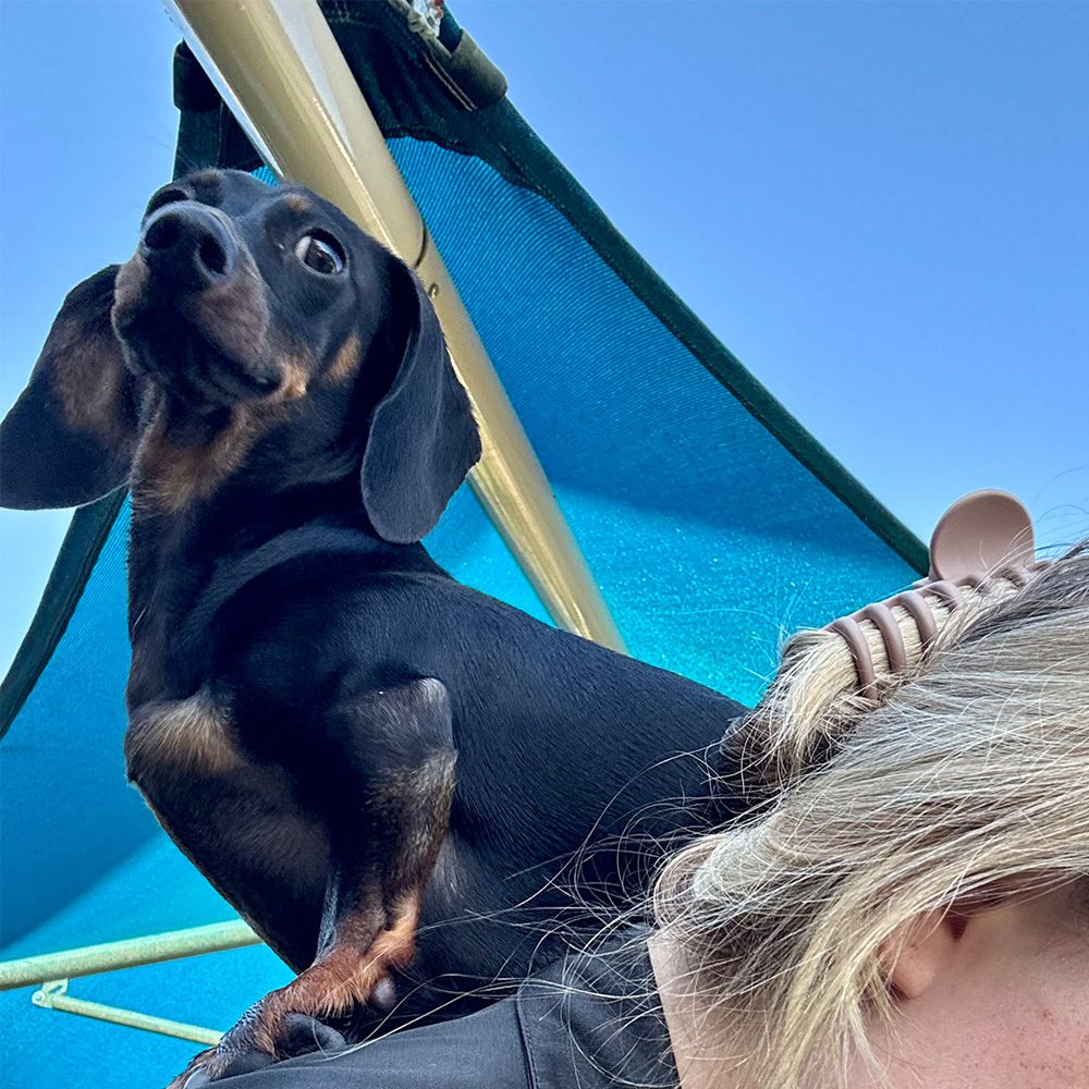 Skippy on Shelbie's Back - BARK (Bradfordville Animal Resort Kingdom)