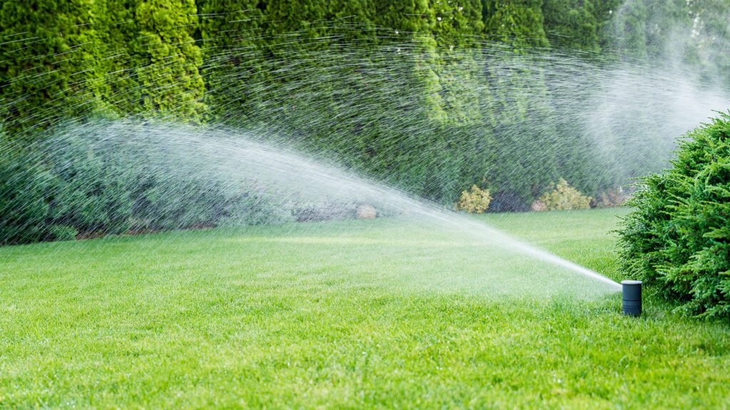 Bringing the Heat: Summer Property Care With The Hamptons Watchdog Group