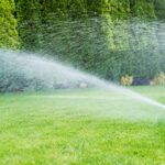 Bringing the Heat: Summer Property Care With The Hamptons Watchdog Group