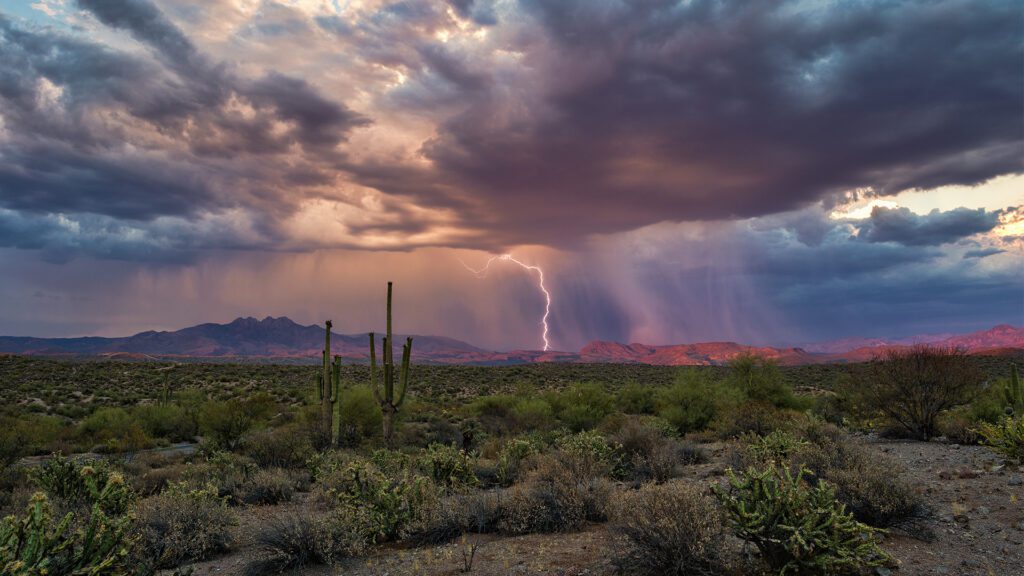 When the Monsoons Roll In: Southern Arizona Plumbing Problems You Didn’t See Coming