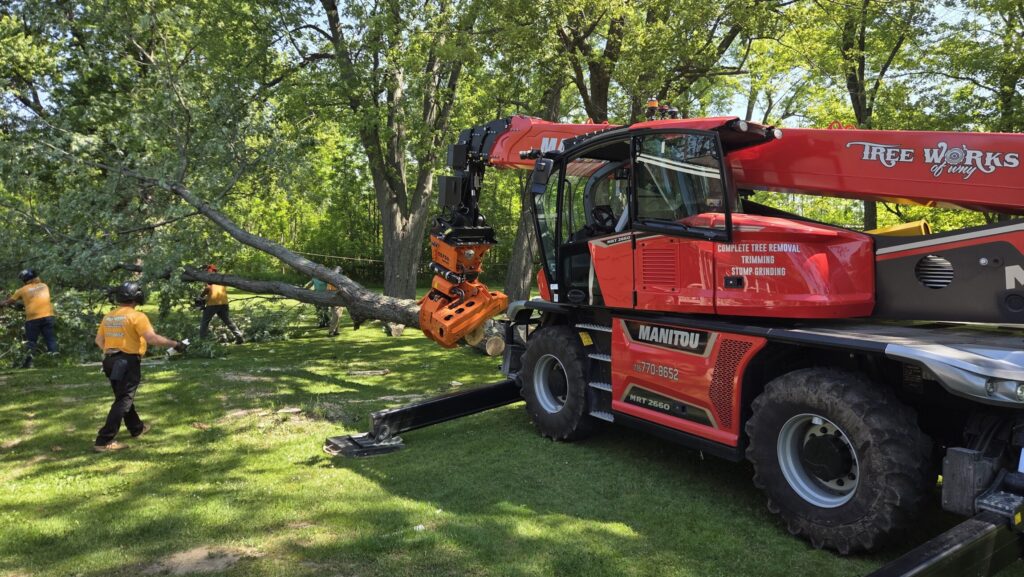 Modern Equipment Changing the Way Tree Removal Is Done