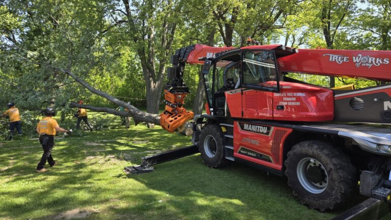 Modern Equipment Changing the Way Tree Removal Is Done
