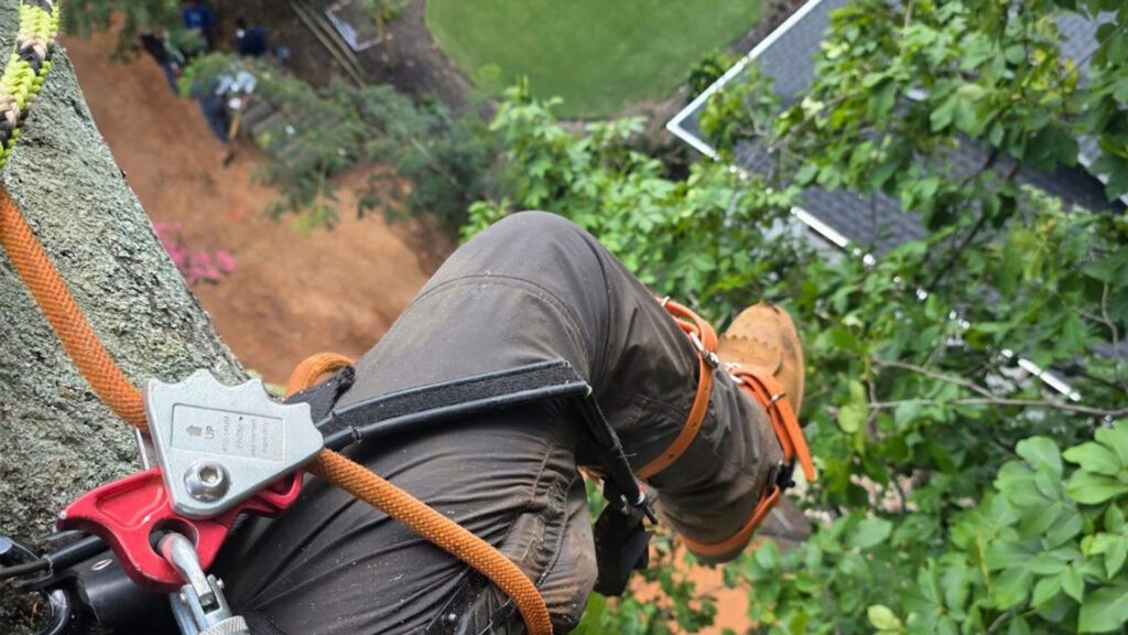 The Weight of Summer: Protecting Your Property Value Before Storm Season Hits